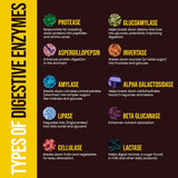 Digestive Enzymes for Carnivores – Enjoy Food Without Discomfort, 60 Count, Made in USA